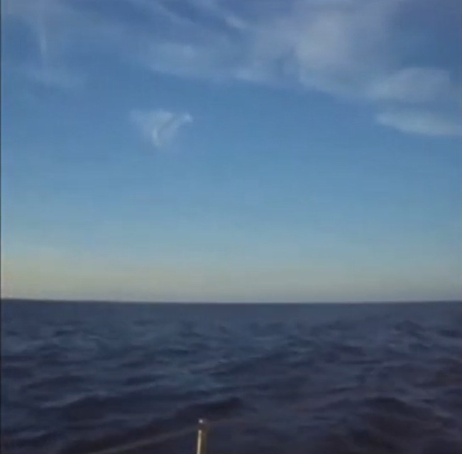 Portada del tráiler Navegando, El Blanco de Inmersión, 2018