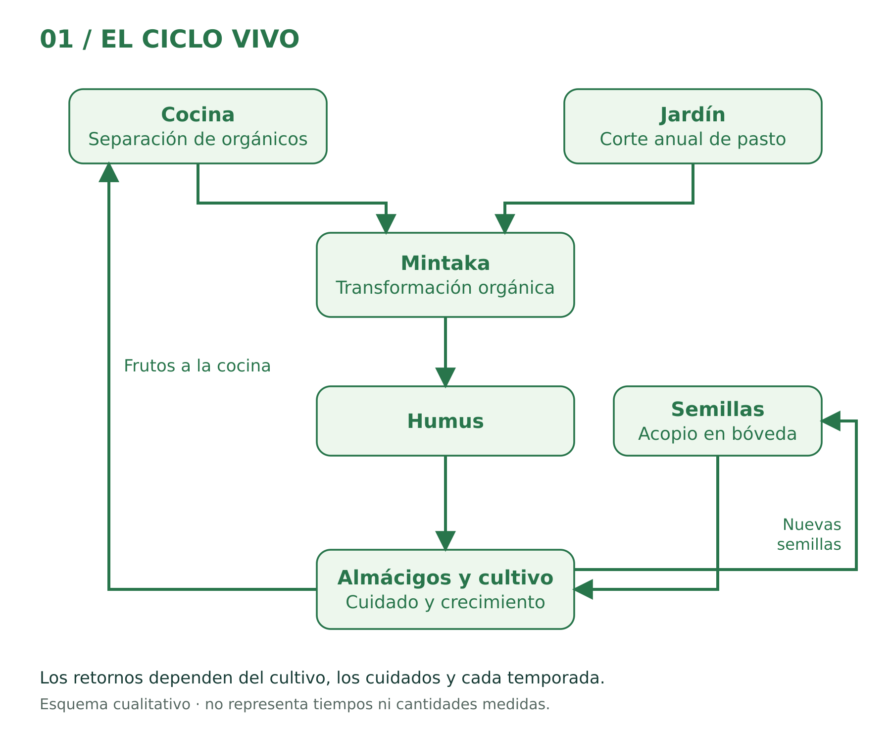 Mintaka_01_Ciclo_vivo: gráfico del ciclo vivo con flechas entre cocina, jardín, transformación orgánica, semillas y cultivo.
